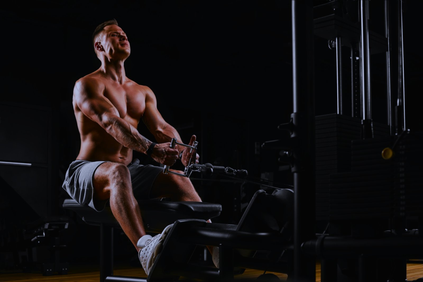 Seated Cable Row