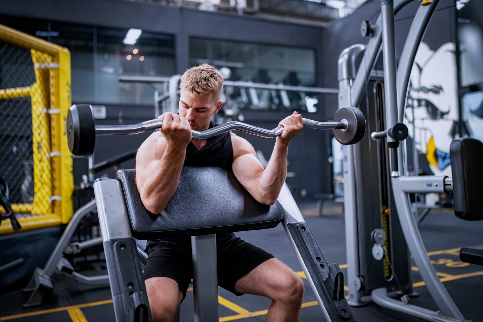 Barbell Preacher Curl